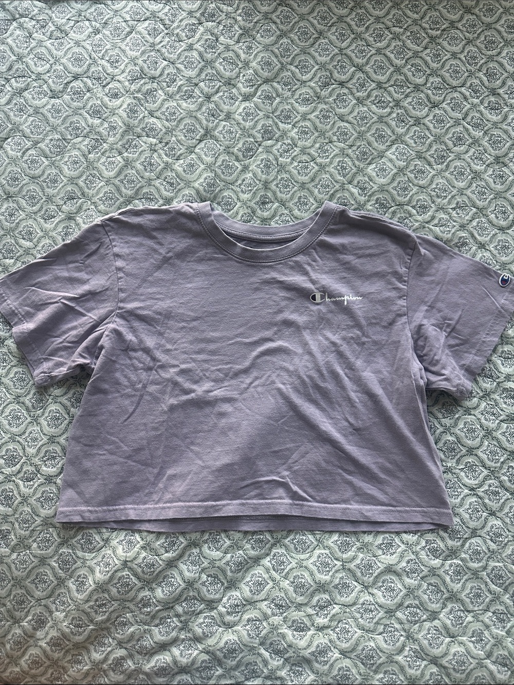 Grayish Purple Champion Crop Top
